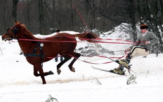 daily picdump 102 pics 4.html - 102 HD Photos | Premium Gallery 2017