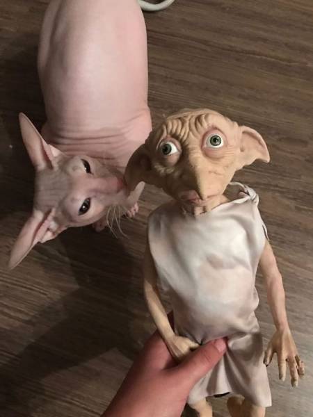 daily picdump 102 pics 4.html - 102 HD Photos | Premium Gallery 2017