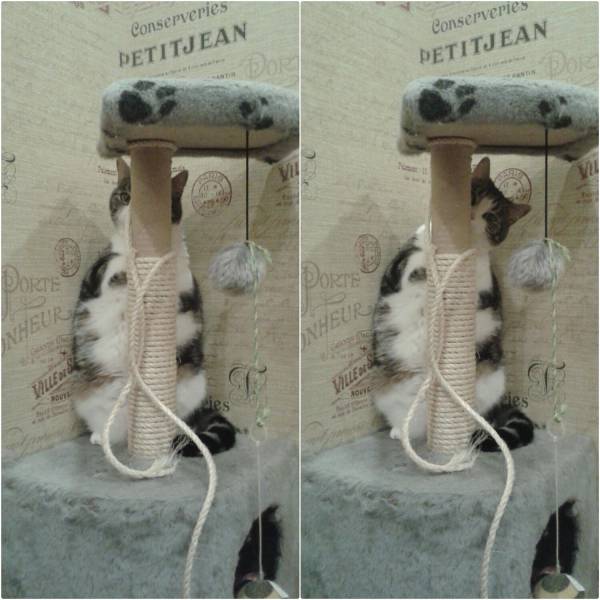 daily picdump 102 pics 4.html - 102 HD Photos | Premium Gallery 2017