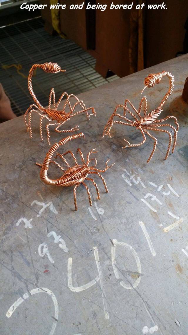 daily picdump 102 pics 4.html - 102 HD Photos | Premium Gallery 2017