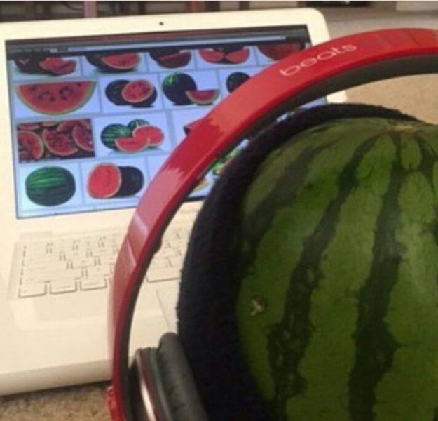 daily picdump 91 pics 4.html - 91 HD Photos | Premium Gallery 2017