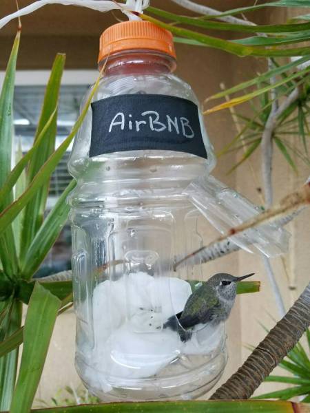 daily picdump 91 pics 4.html - 91 HD Photos | Premium Gallery 2017