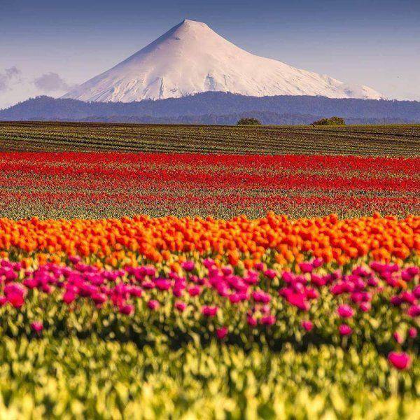 daily picdump 91 pics 4.html - 91 HD Photos | Premium Gallery 2017