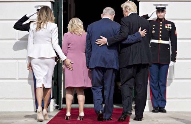 daily picdump 91 pics 4.html - 91 HD Photos | Premium Gallery 2017