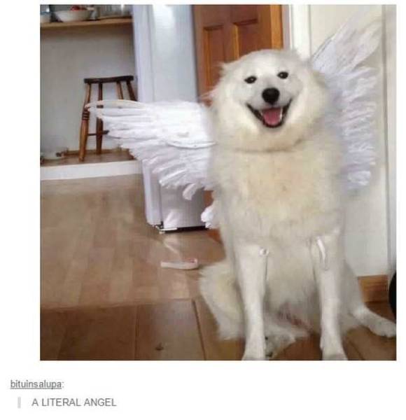 daily picdump 91 pics 4.html - 91 HD Photos | Premium Gallery 2017