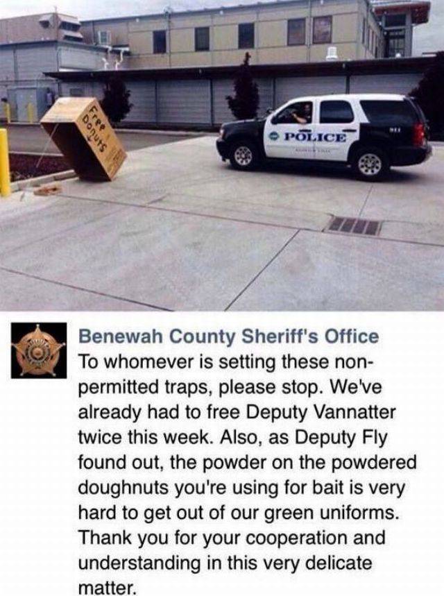 daily picdump 91 pics 4.html - 91 HD Photos | Premium Gallery 2017