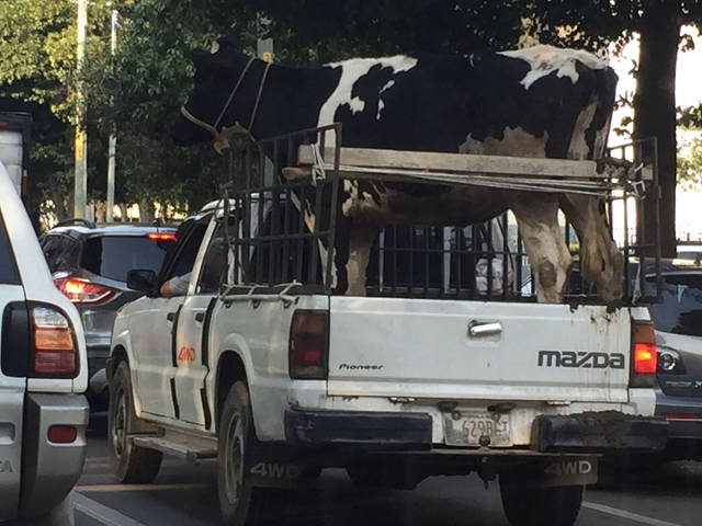 morning picdump 54 pics 12.html - 54 HD Photos | Premium Gallery 2017