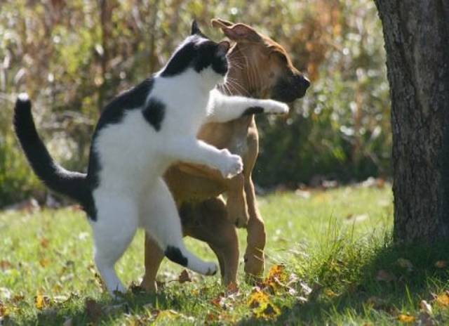 morning picdump 54 pics 12.html - 54 HD Photos | Premium Gallery 2017