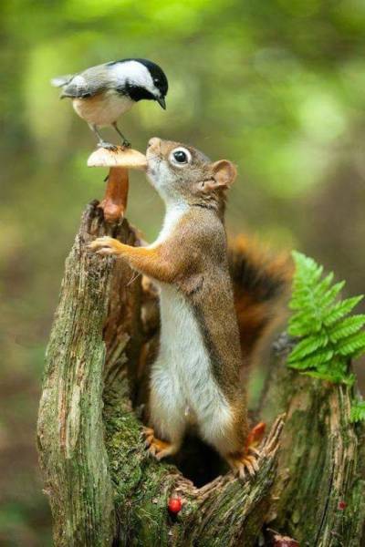 Daily Picdump