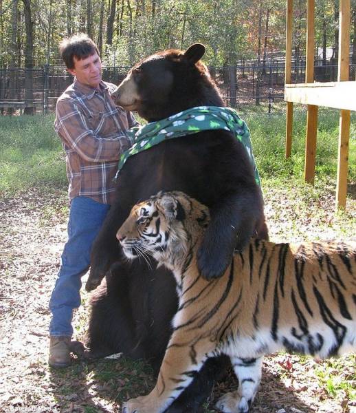 Daily Picdump