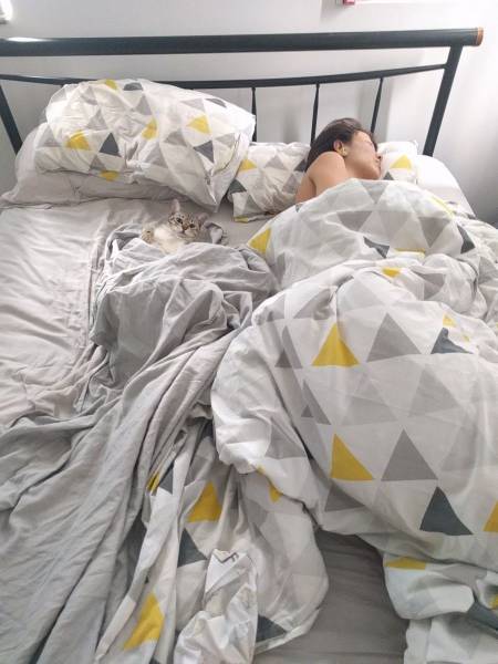 daily picdump 101 pics 40.html - 101 HD Photos | Premium Gallery 2017