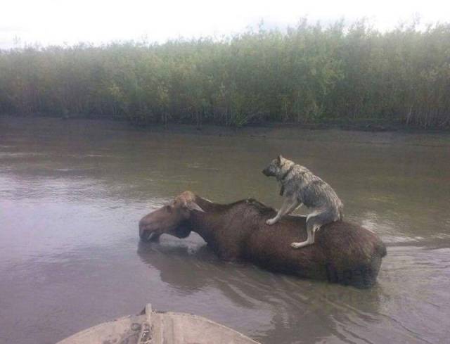 Daily Picdump