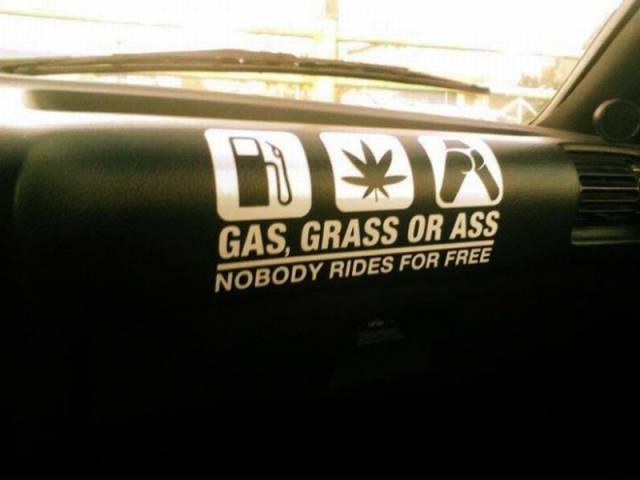 Daily Picdump