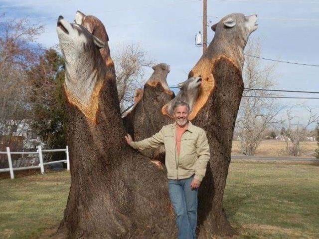 Daily Picdump