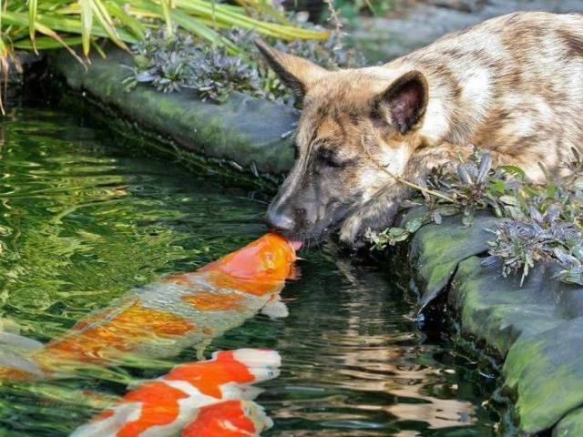 daily picdump 101 pics 40.html - 101 HD Photos | Premium Gallery 2017