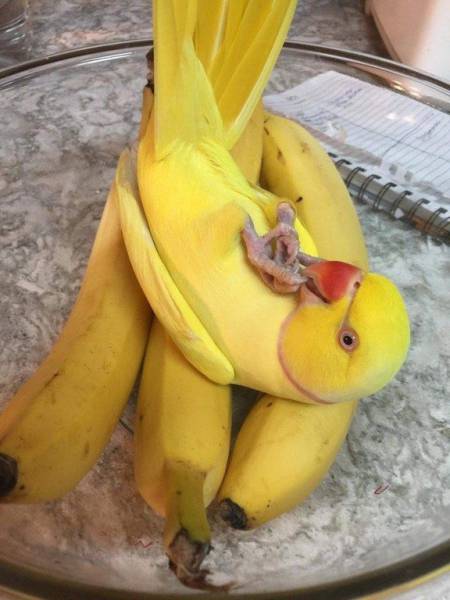 daily picdump 101 pics 40.html - 101 HD Photos | Premium Gallery 2017
