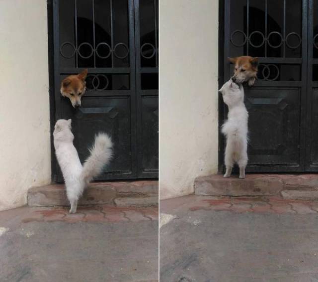 daily picdump 101 pics 40.html - 101 HD Photos | Premium Gallery 2017