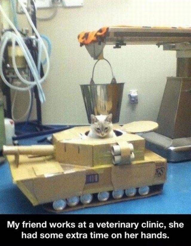 daily picdump 101 pics 40.html - 101 HD Photos | Premium Gallery 2017