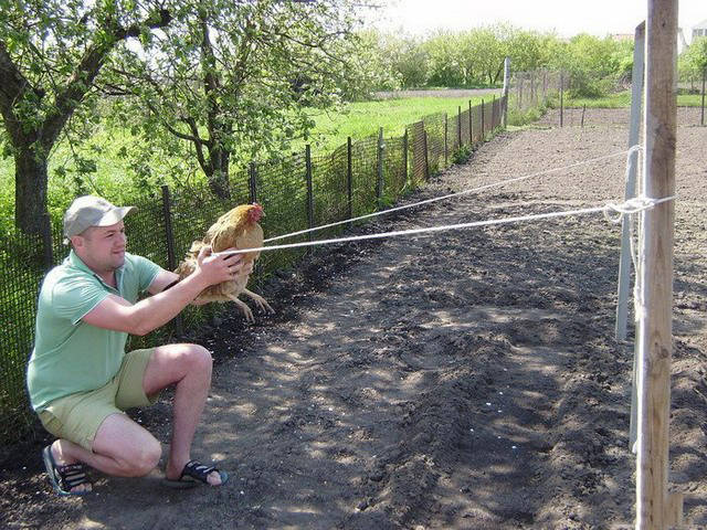 Men Is A Very Strange Species Indeed