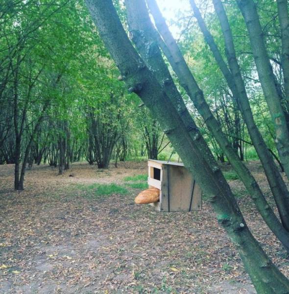 morning picdump 51 pics 4.html - 51 HD Photos | Premium Gallery 2017