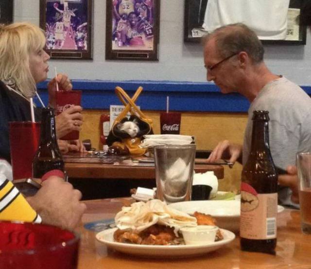 daily picdump 98 pics 35.html - 98 HD Photos | Premium Gallery 2017