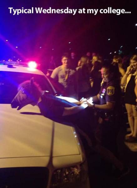 daily picdump 98 pics 35.html - 98 HD Photos | Premium Gallery 2017