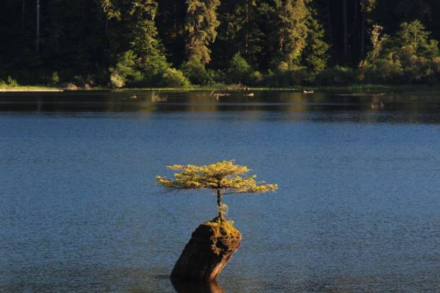 daily picdump 98 pics 35.html - 98 HD Photos | Premium Gallery 2017