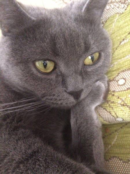 daily picdump 98 pics 35.html - 98 HD Photos | Premium Gallery 2017