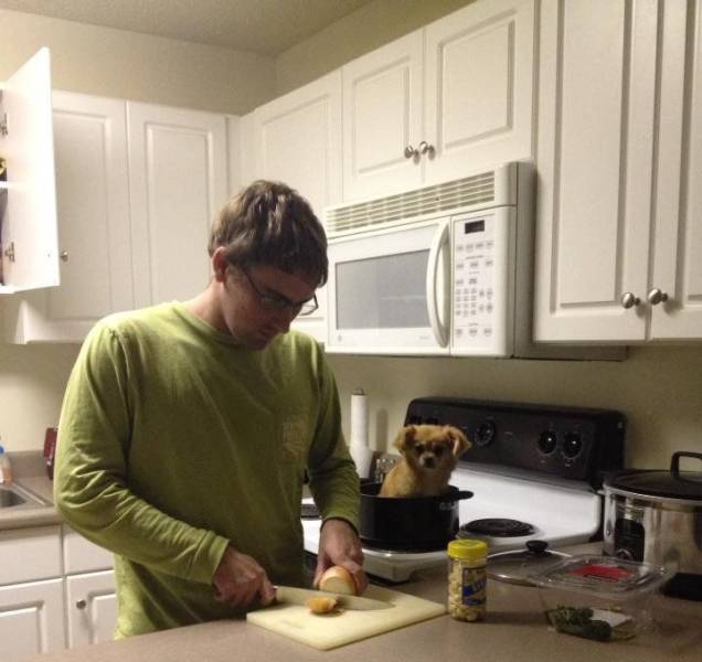 daily picdump 98 pics 35.html - 98 HD Photos | Premium Gallery 2017