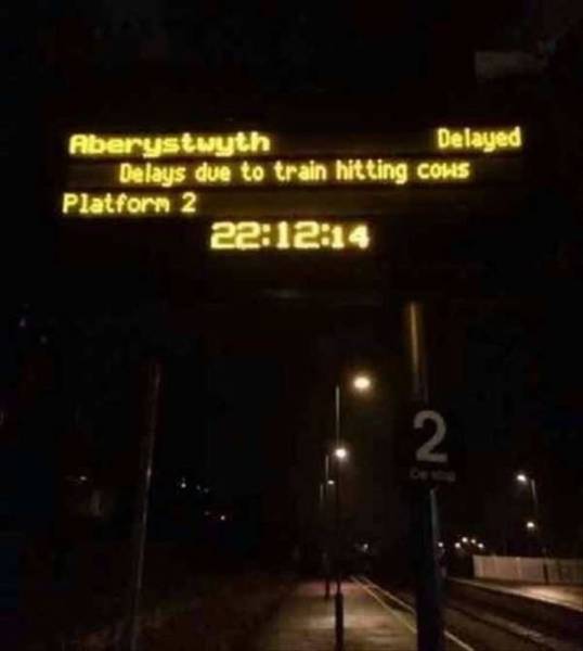 daily picdump 98 pics 35.html - 98 HD Photos | Premium Gallery 2017