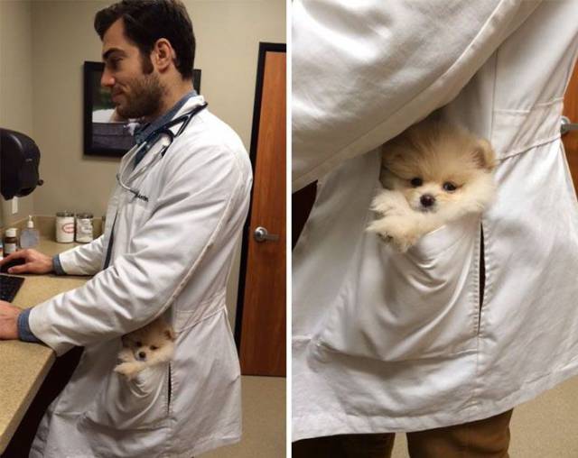 Daily Picdump
