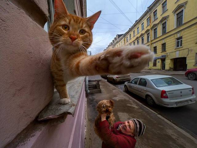 Daily Picdump