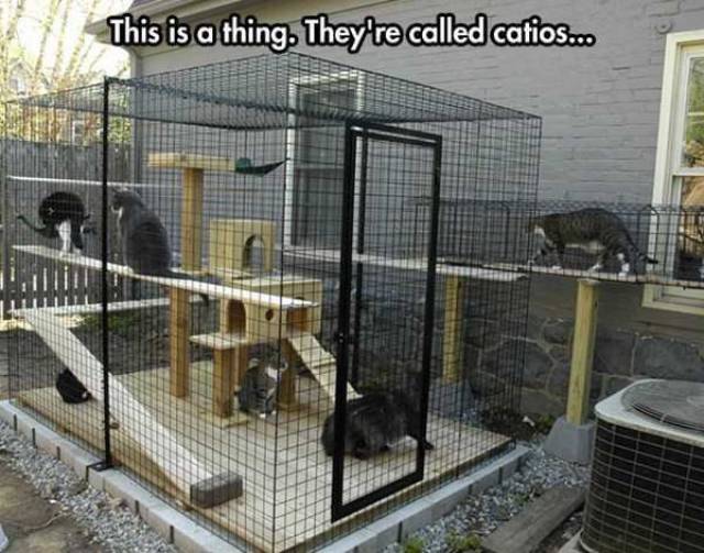 Daily Picdump