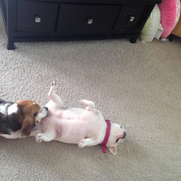 Daily Picdump
