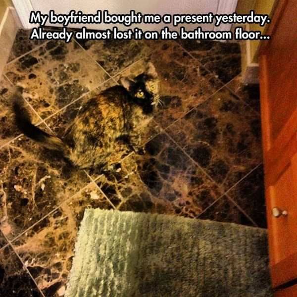daily picdump 99 pics 12.html - 99 HD Photos | Premium Gallery 2017