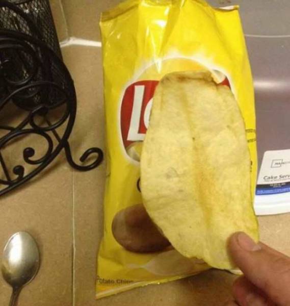 daily picdump 99 pics 12.html - 99 HD Photos | Premium Gallery 2017