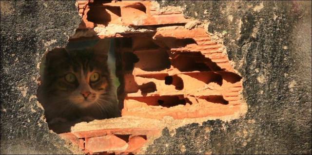 daily picdump 99 pics 12.html - 99 HD Photos | Premium Gallery 2017