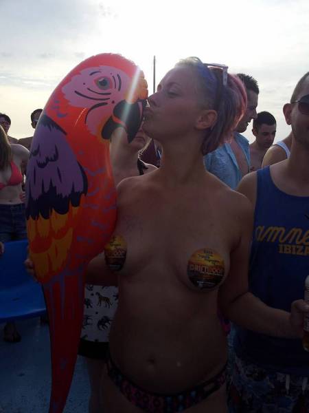 grownup corner 57 pics 14 gifs 22.html - 57 HD GIF | Premium Gallery 2017