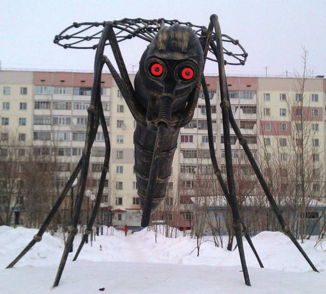 Morning Picdump