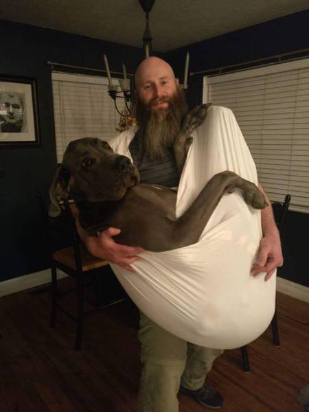 morning picdump 52 pics 5.html - 52 HD Photos | Premium Gallery 2017