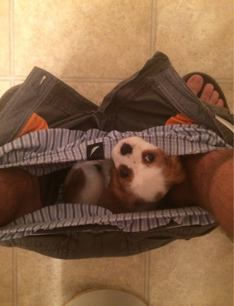 morning picdump 52 pics 5.html - 52 HD Photos | Premium Gallery 2017