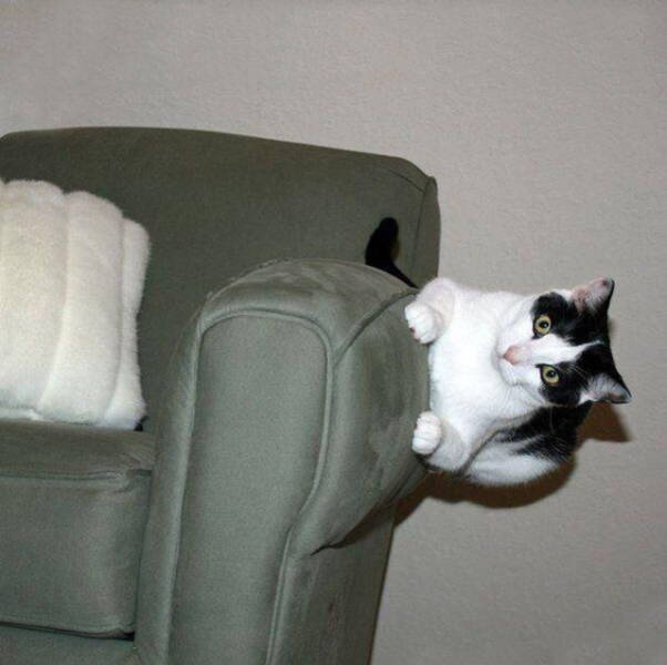 morning picdump 52 pics 5.html - 52 HD Photos | Premium Gallery 2017