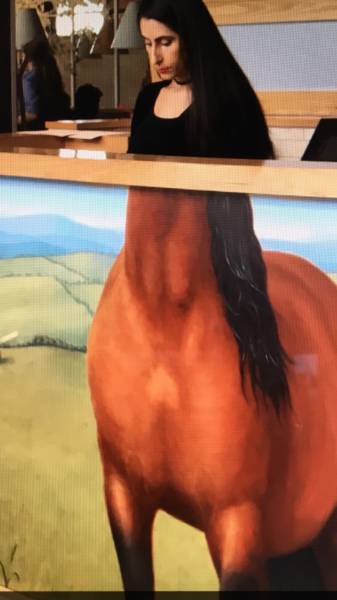 Daily Picdump [WEEKEND EDITION]