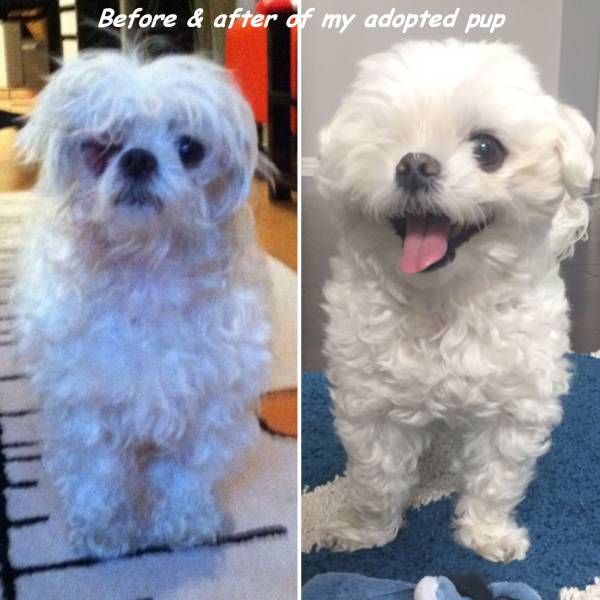 Daily Picdump