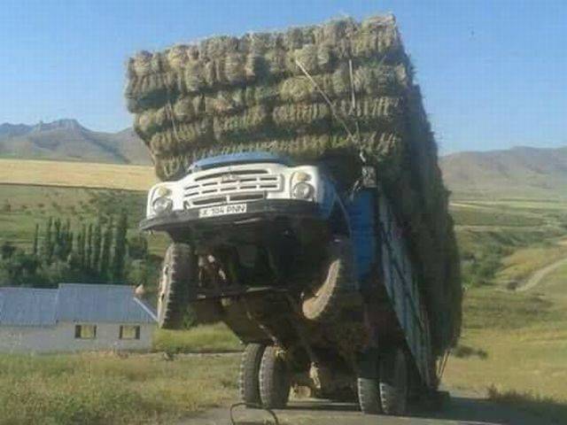 Daily Picdump