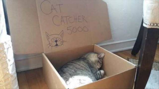 Daily Picdump