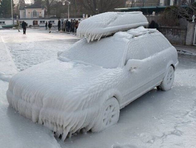 Daily Picdump