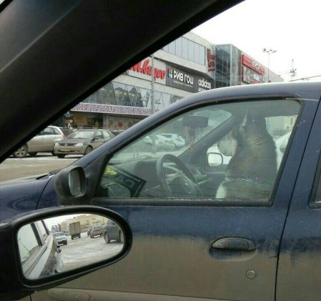 Daily Picdump