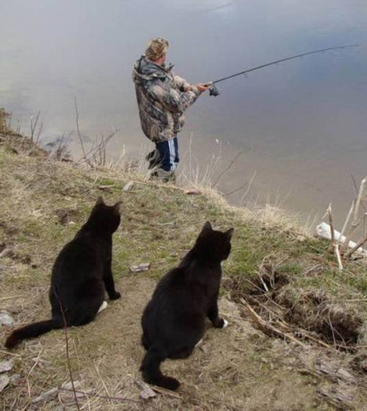 daily picdump 95 pics 40.html - 95 HD Photos | Premium Gallery 2017