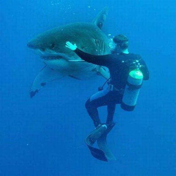 daily picdump 95 pics 40.html - 95 HD Photos | Premium Gallery 2017